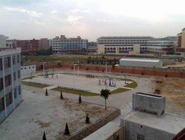 新市村[福建省泉州晉江市金井鎮下轄村]