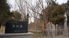 華佗墓[沈丘華佗墓]