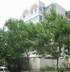 生態印象 生態印象