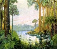 二疊紀植物群 二疊紀植物群