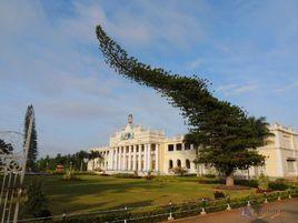 邁索爾大學 邁索爾大學