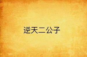 逆天二公子 逆天二公子