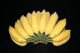 廣粉1號粉蕉 廣粉1號粉蕉