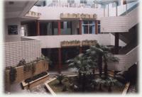 武漢市育才國小 武漢市育才國小