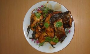 紅燒黑魚塊 紅燒黑魚塊