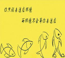 環境適應 環境適應