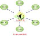 集約化經營 集約化經營