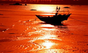 覃建華攝影作品