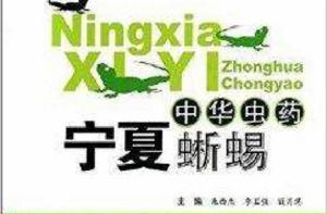 中華蟲藥:寧夏蜥蜴 中華蟲藥:寧夏蜥蜴