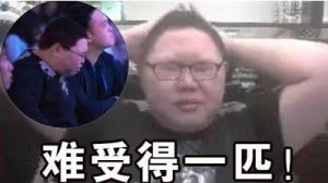 難受的一匹 難受的一匹