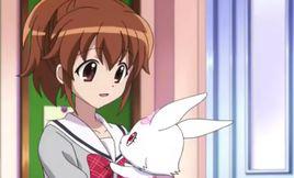 淺香雛田 淺香雛田