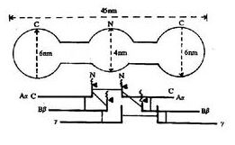 凝固蛋白原 凝固蛋白原