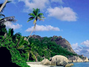 蓮花島[江蘇省蘇州市蓮花島]