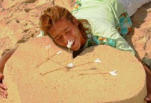 《原味的夏天》