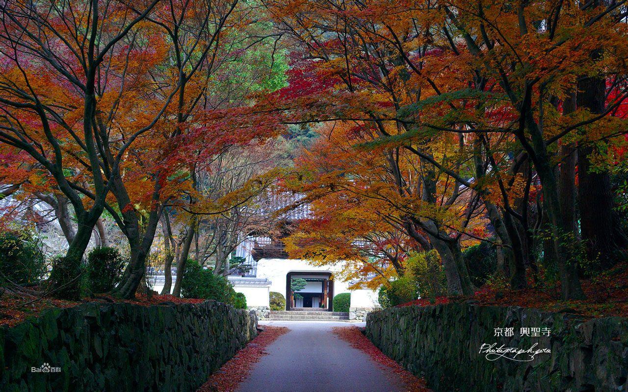 興聖寺