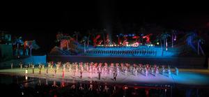 《紅色娘子軍》[大型椰海青春實景影畫]