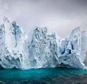 北極,北極! 北極,北極!