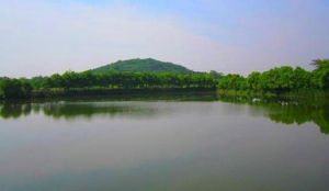 定塘窪自然村 定塘窪自然村