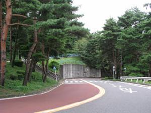 《夢幻街女孩》