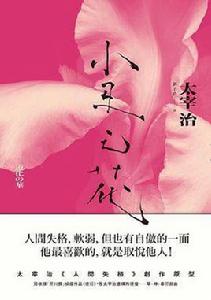 小丑之花 小丑之花