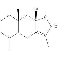 白朮內酯III 白朮內酯III