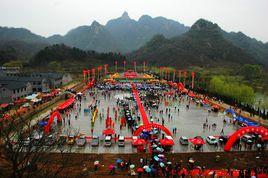 河南汝陽杜鵑花節 河南汝陽杜鵑花節