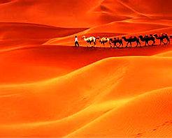 駝鈴夢坡沙漠公園
