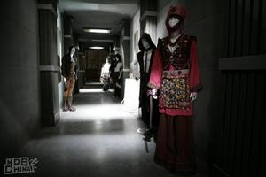 《飛俠哥頓》第1季