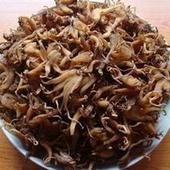 西藏手掌參 西藏手掌參