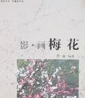 影·畫梅花 影·畫梅花