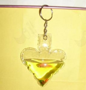 生態魔法魚 生態魔法魚