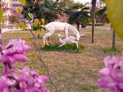 Henan Economic Management School