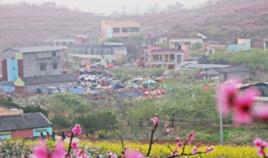 姚渡鎮[四川省成都市青白江區姚渡鎮]