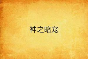 神之暗寵 神之暗寵