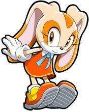 索尼克編年史：黑暗兄弟會