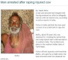 印男子強姦受傷母牛被拘