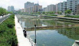 濱河遊園 濱河遊園