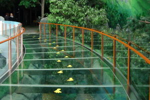 吉林省自然博物館