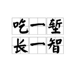 吃一塹,長一智 吃一塹,長一智
