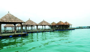 特呈島度假村 特呈島度假村