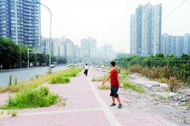 南坪街道 南坪街道