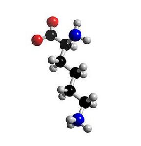 lysine
