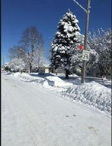 埃姆斯市 埃姆斯市