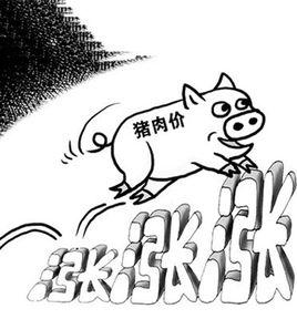 豬周期 豬周期