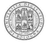 波倫亞大學