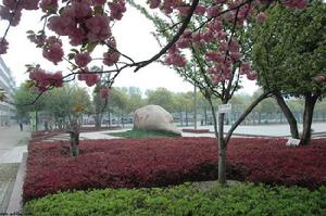 襄樊市第四中學