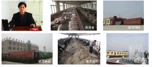 河北省景縣津龍良種豬養殖有限公司