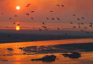 東洞庭湖自然保護區