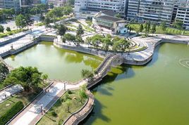 蓮湖廣場 蓮湖廣場