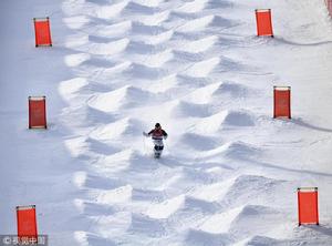 金斯伯利 金斯伯利